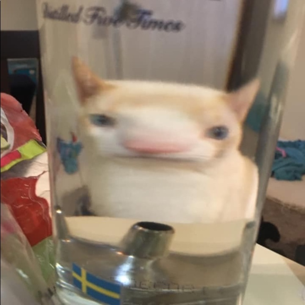 Meet your Posher, Leisha